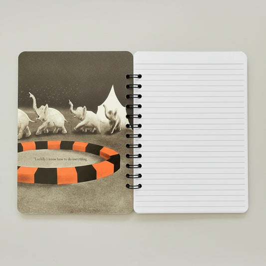 Elephants at the circus