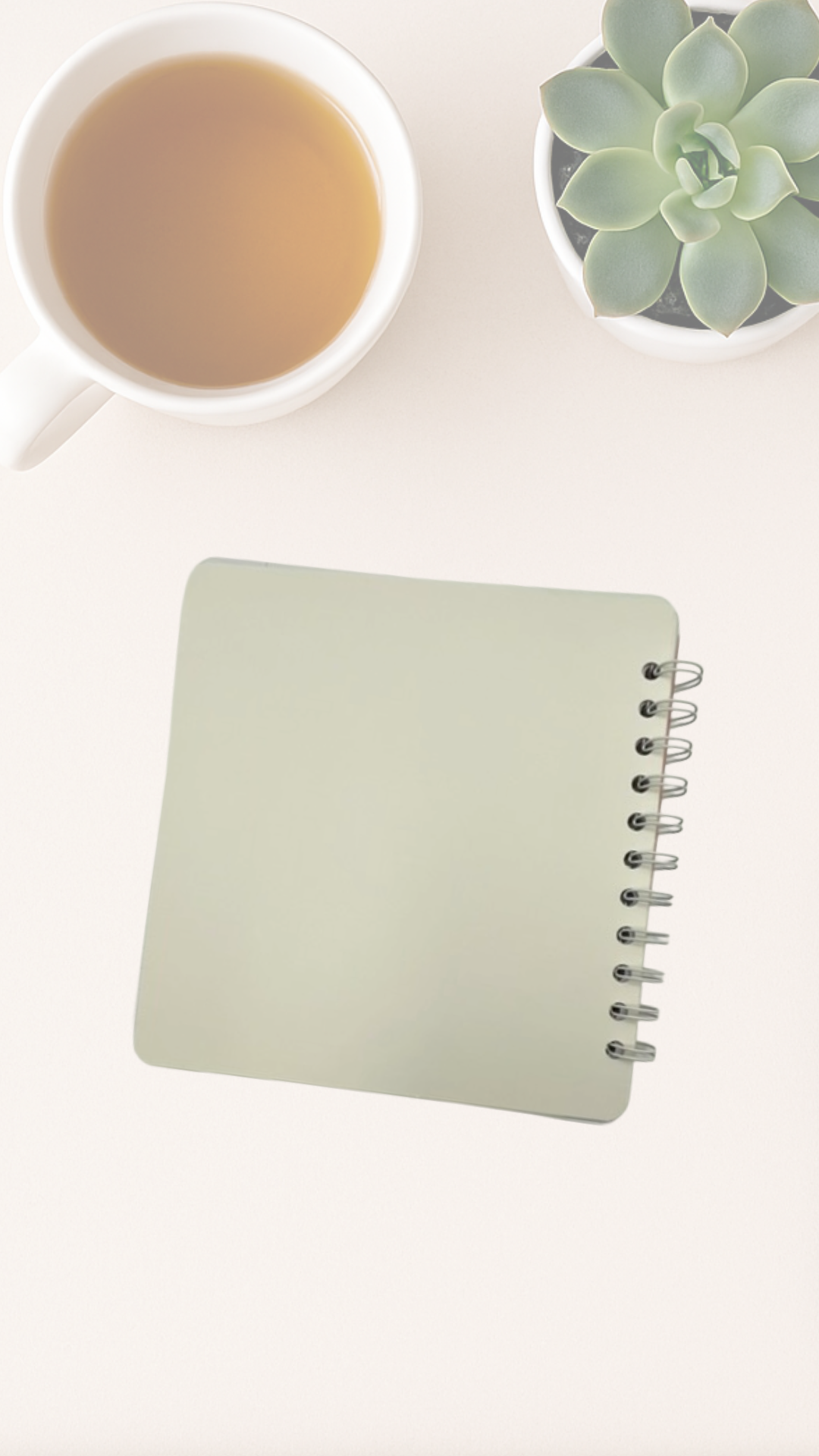 Back cover of notebook with a cup of tea and a succulent plant on a white surface