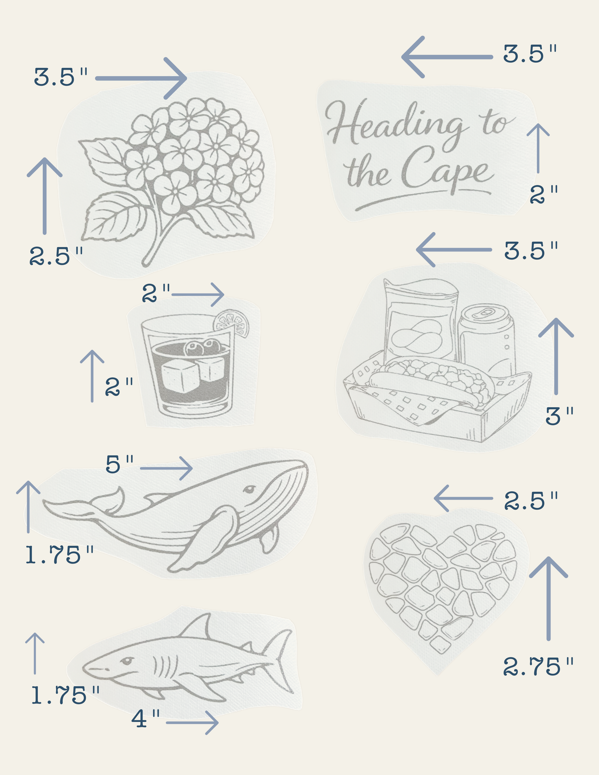 Illustrations of a hydrangea, Cape Cod, lobster roll lunch, shark, whale, and heart with dimensions labeled on a light background.