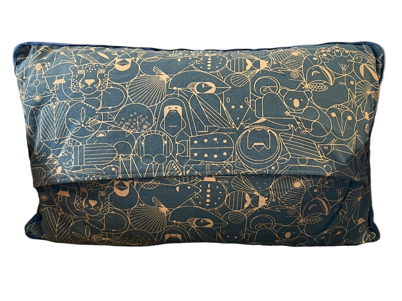 Two patterned cushions on a brown chair with a window in the background