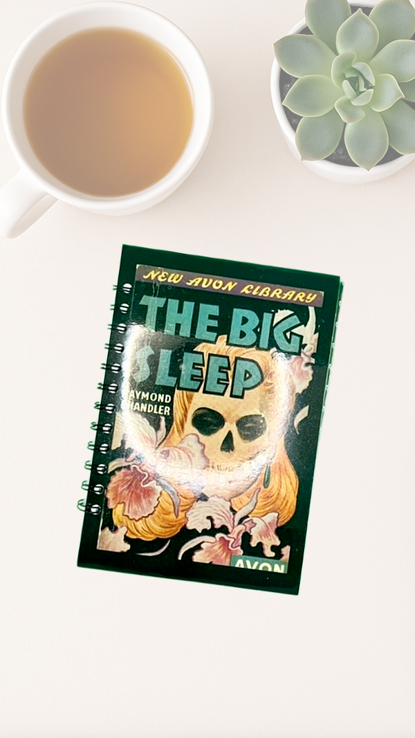 Book titled 'The Big Sleep' by Raymond Chandler on a white surface with a cup of tea and succulent plant.