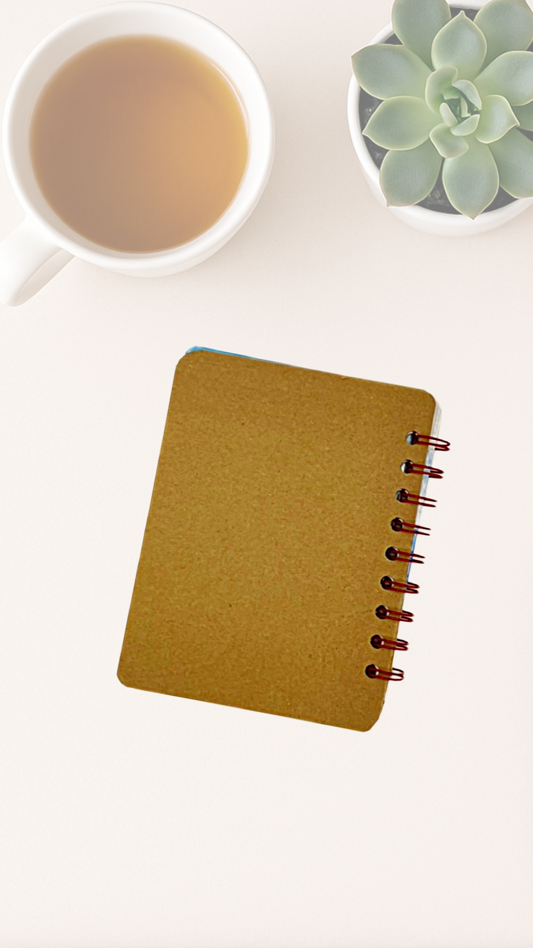 Starfish & Sea Turtle Journal – Upcycled Board Book Spiral Notebook with Lined Pages