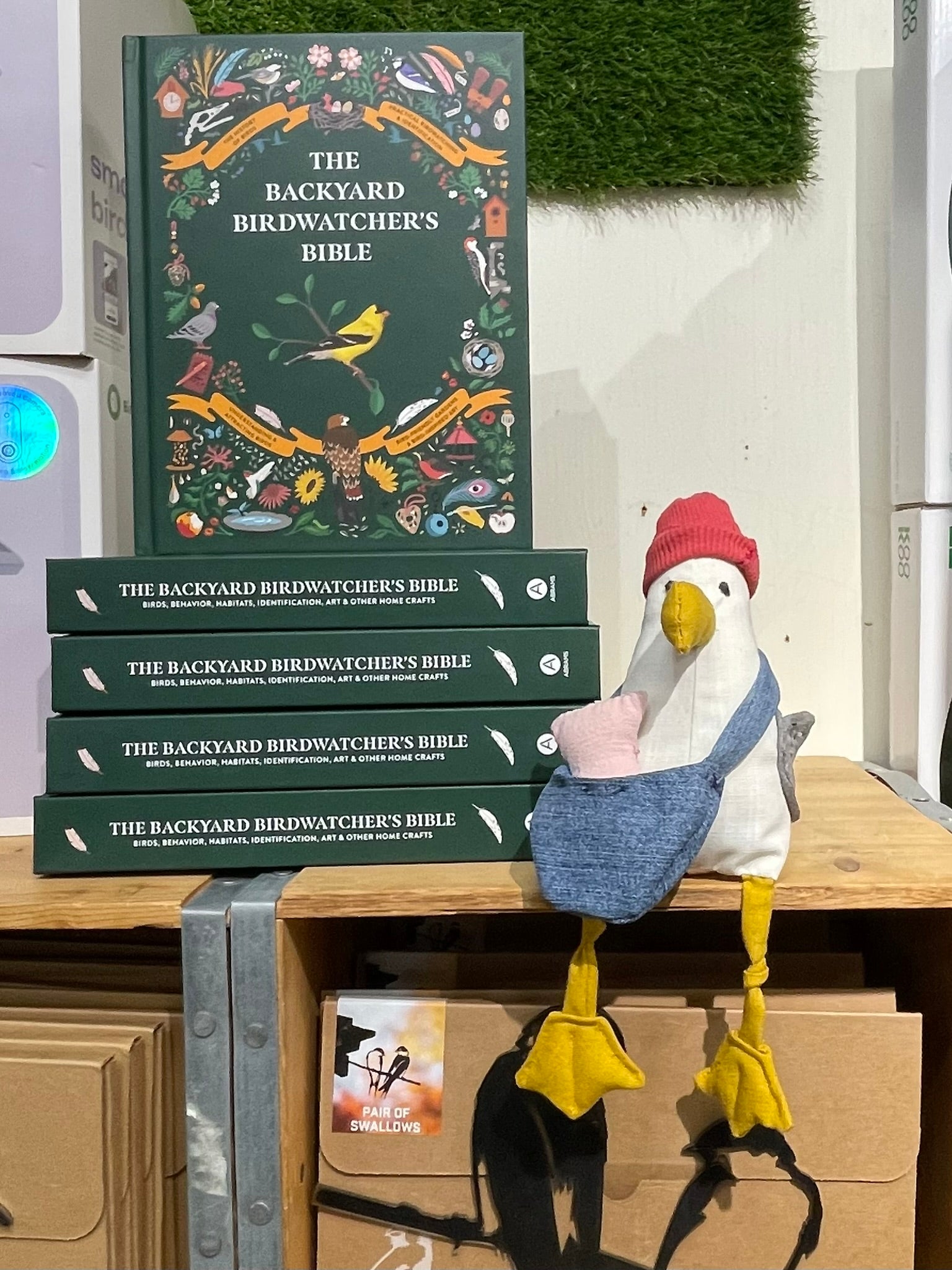 Stuffed Seagull with Backyard Birdwatchers Bible Book