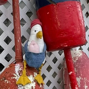 Stuffed Seagull with Buoys